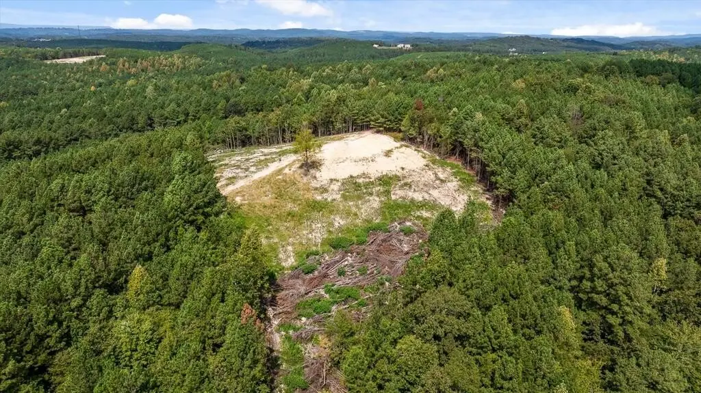 Picture 87