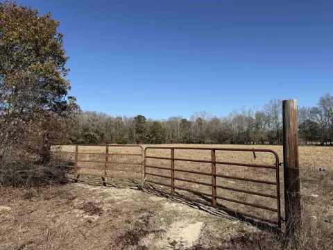 37.9 Acres in Manning, SC