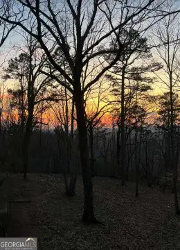 Two Acre Wooded Lot