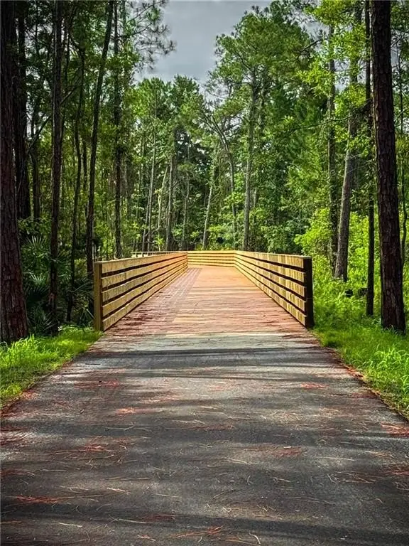 Picture 23