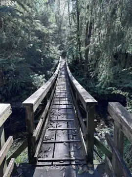 Arch Cape Prime Forest Land