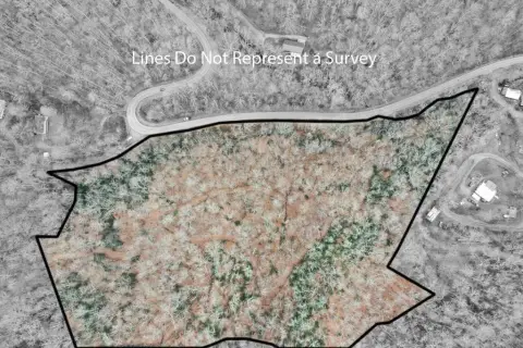 Land and Timber Near University