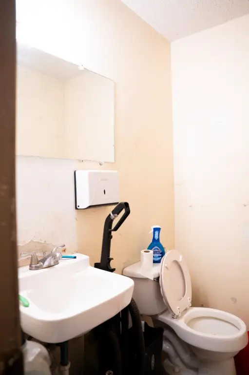 Picture 14