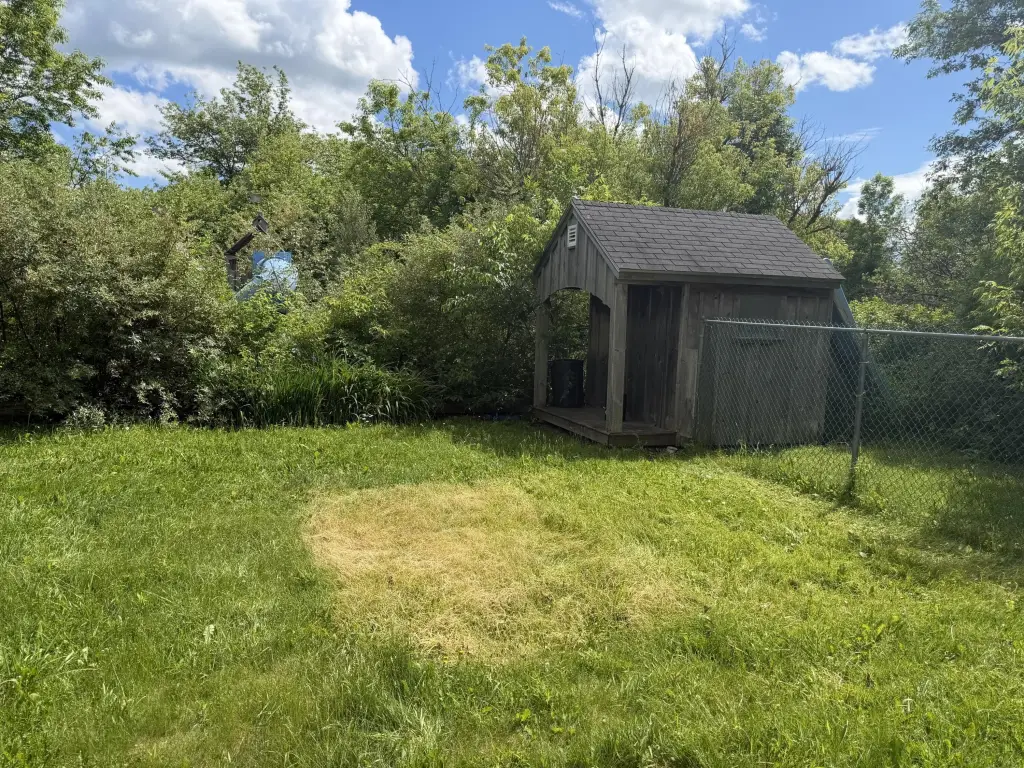 Picture 26