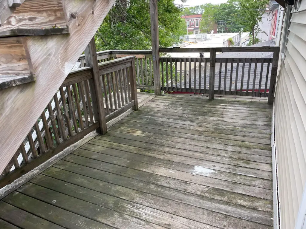 Picture 23