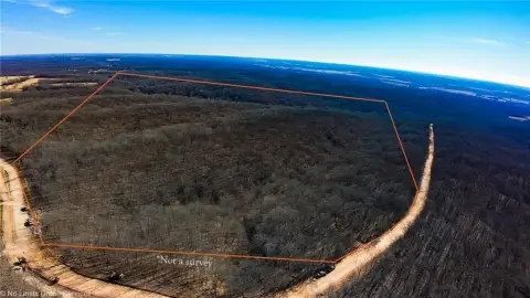 Wooded Acreage in Wyandotte, OK