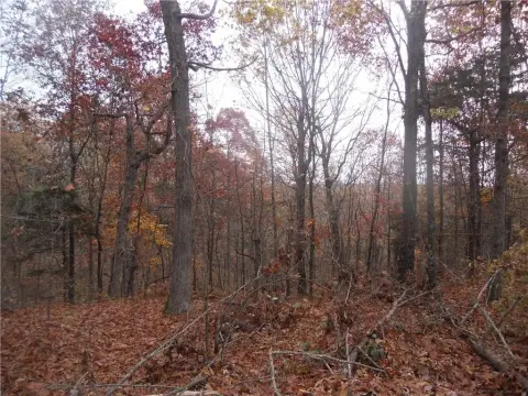 Wooded Acreage Near Buffalo River