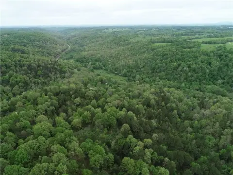 Ozark Land Parcel Near Harrison
