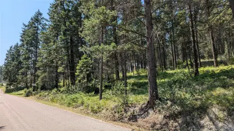 Lakeside, MT Homesite Opportunity