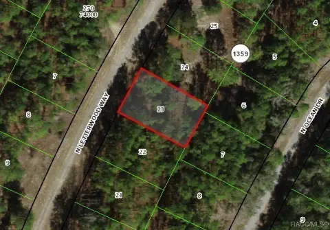 Citrus Springs Buildable Homesite Opportunity