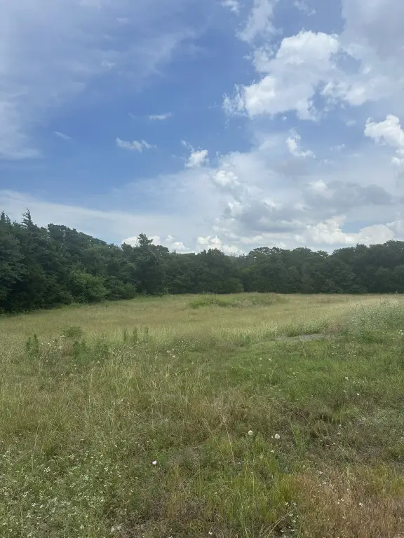 Picture 3