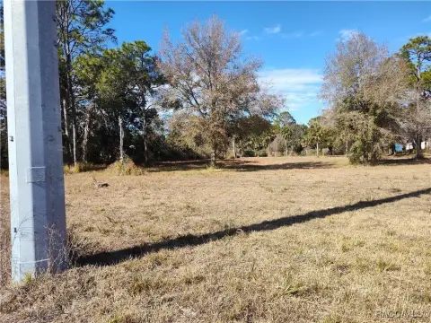Homosassa, FL Semi-Cleared Land