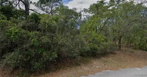 Homosassa, FL Homesite Land