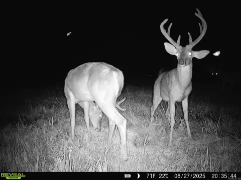 Ranch with Creek Bottomland Views