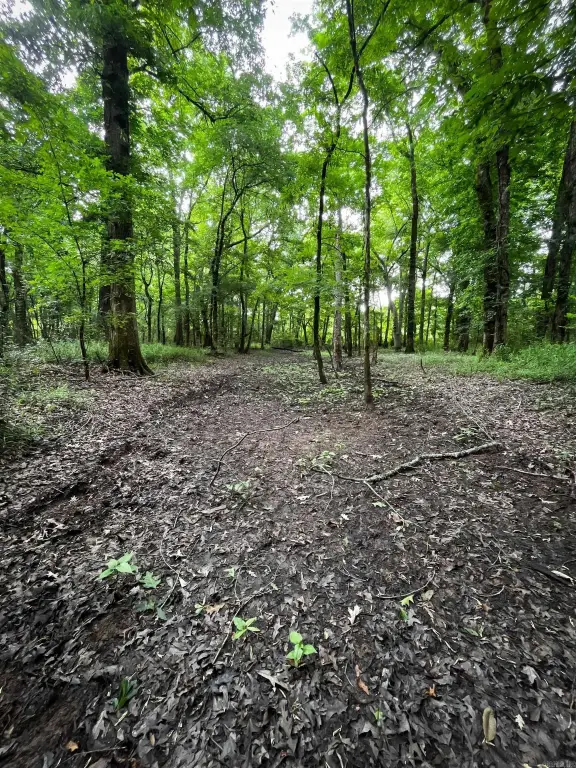 Picture 19