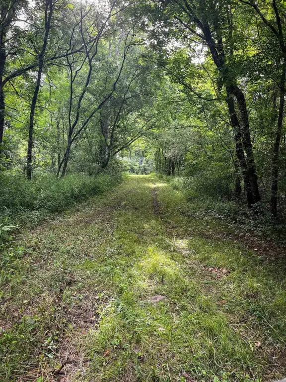 Picture 21