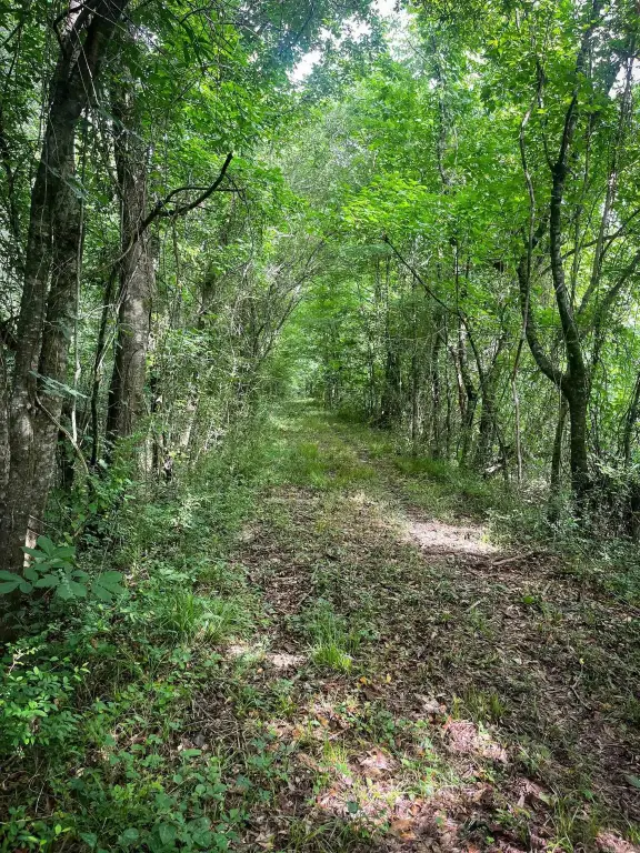 Picture 25