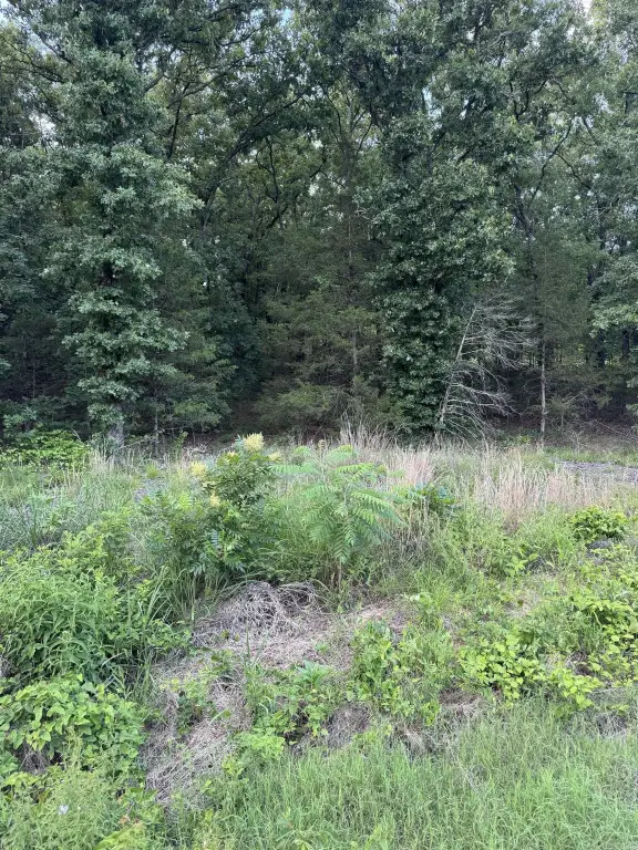Picture 10