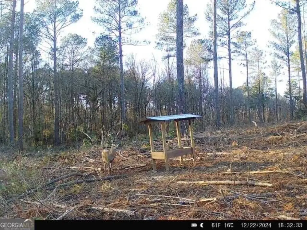 Picture 39