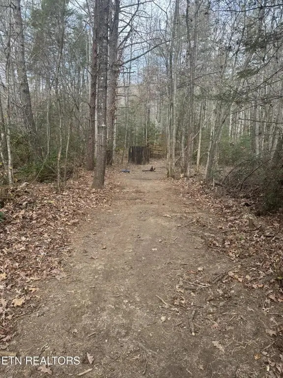 Picture 5