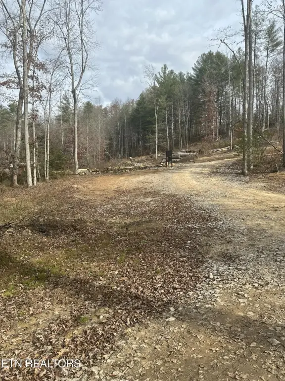 Picture 3