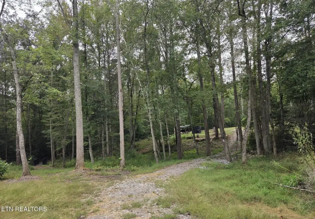 Picture 22