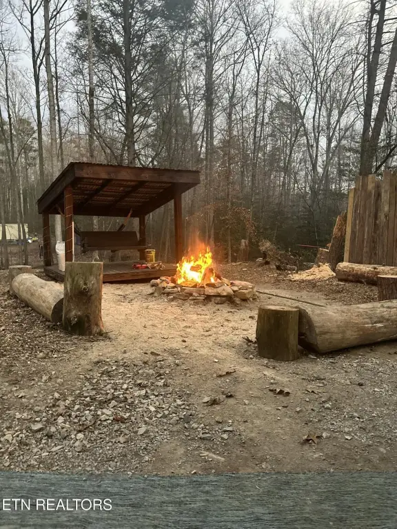 Picture 6