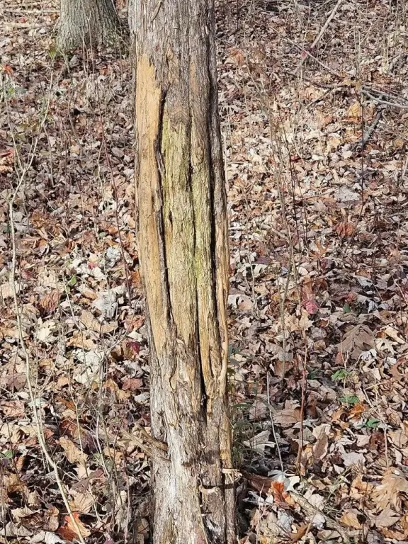 Picture 2