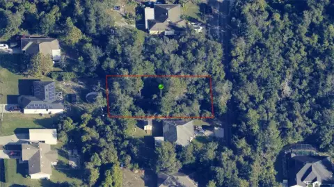 Wooded Lot in Orange City