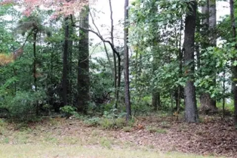 Wooded Lot on Quiet Cul-De-Sac