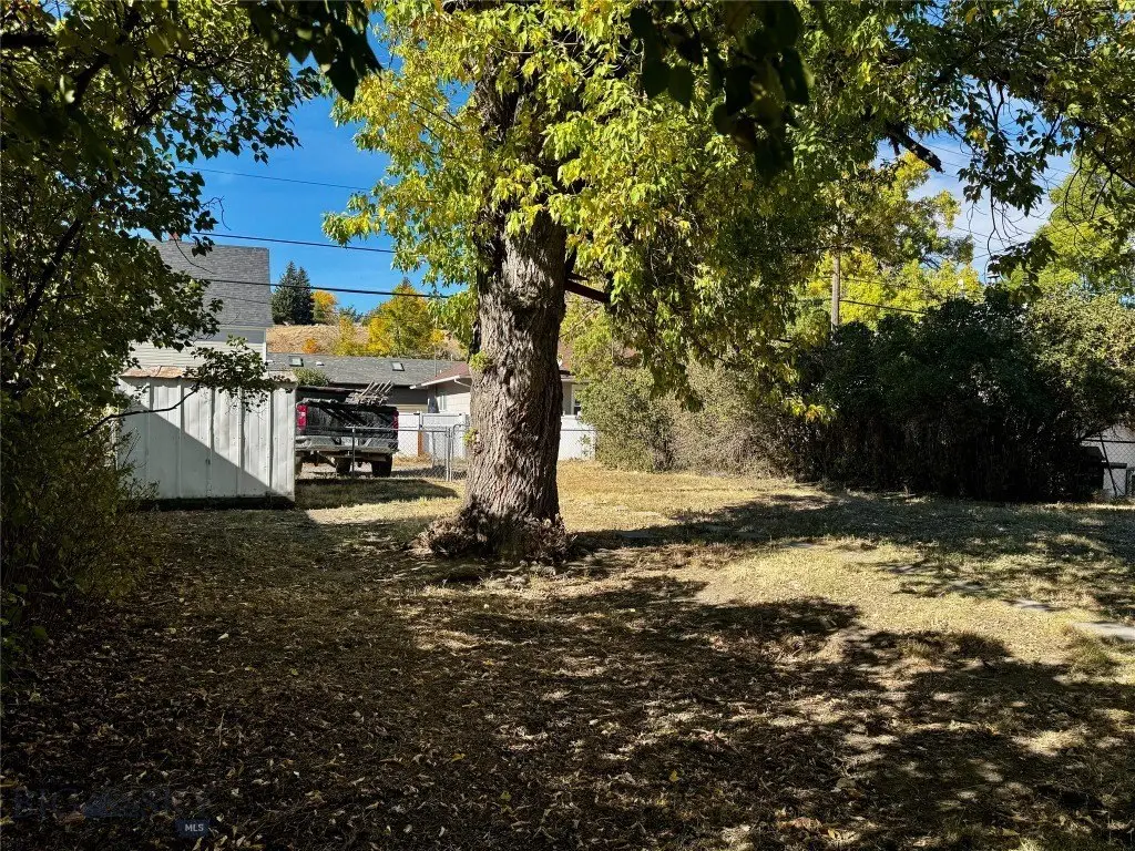 Picture 28