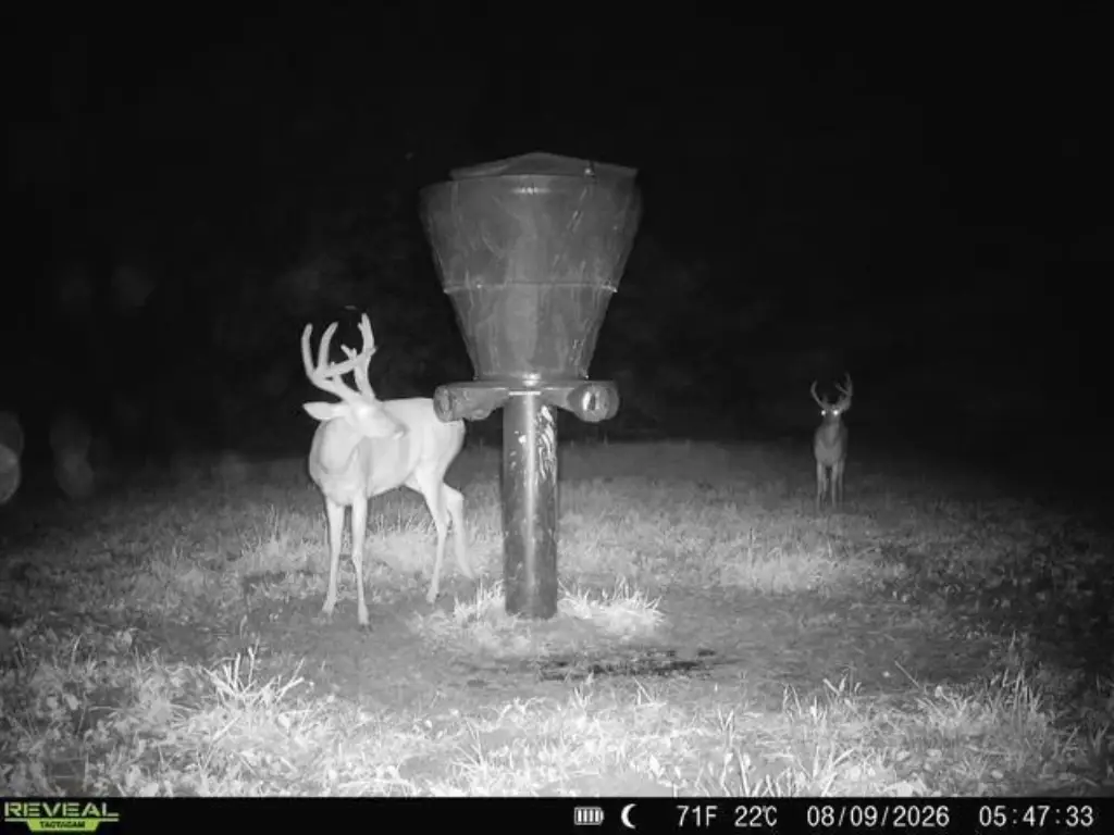 Picture 16
