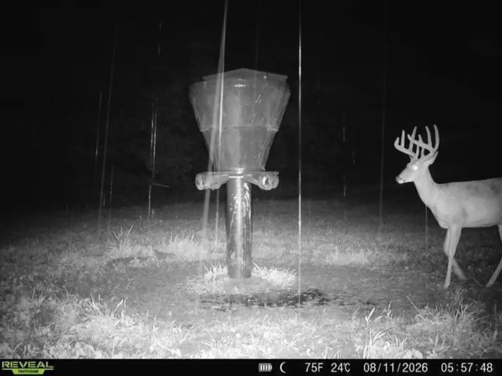 Picture 21