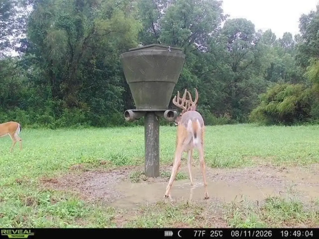 Picture 23