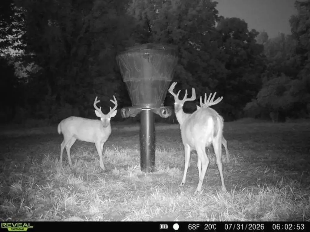 Picture 7