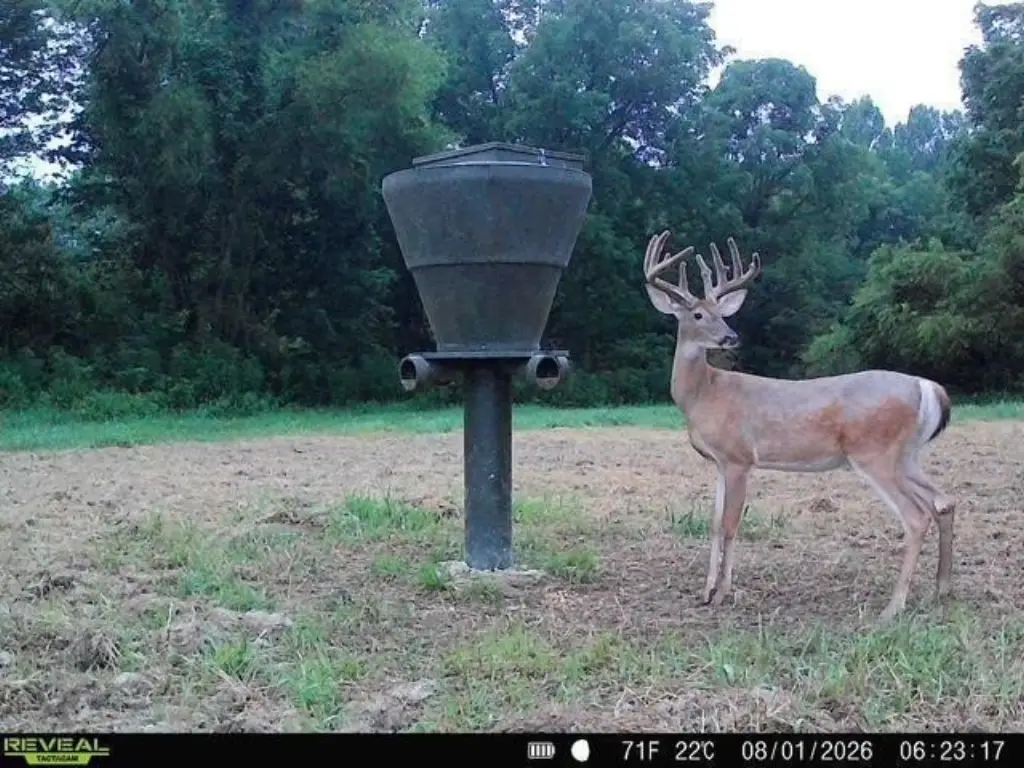 Picture 6