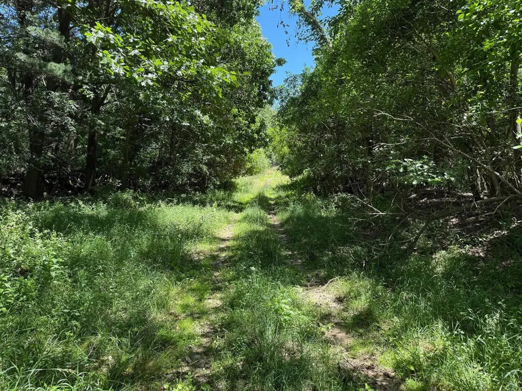 Picture 25