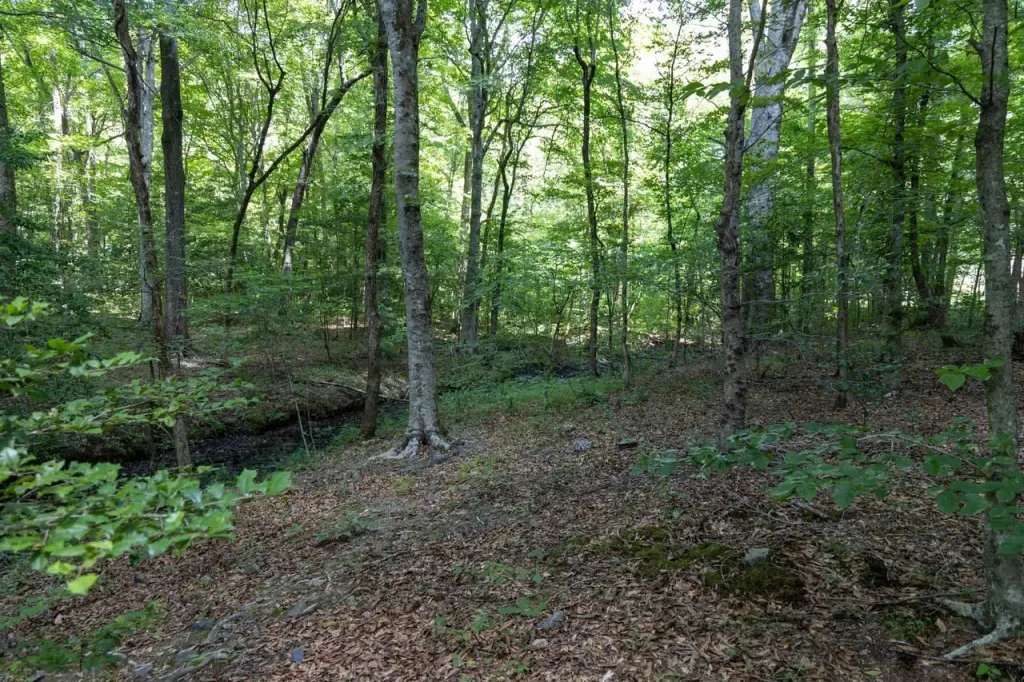 Picture 29