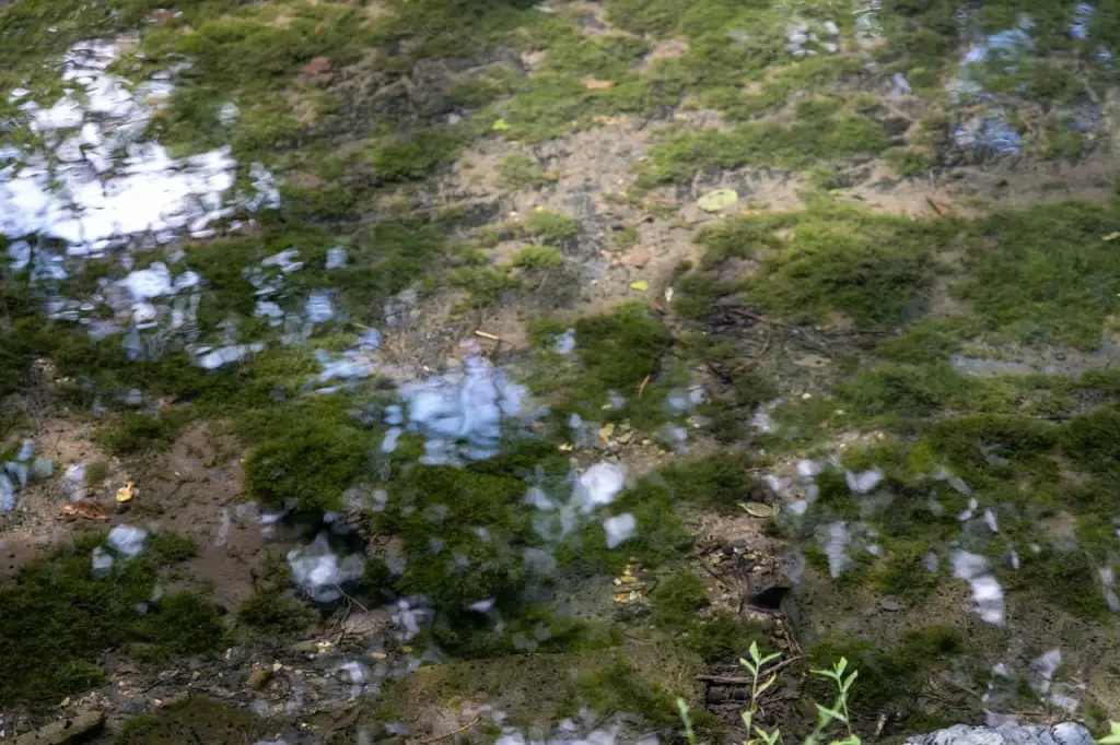 Picture 31