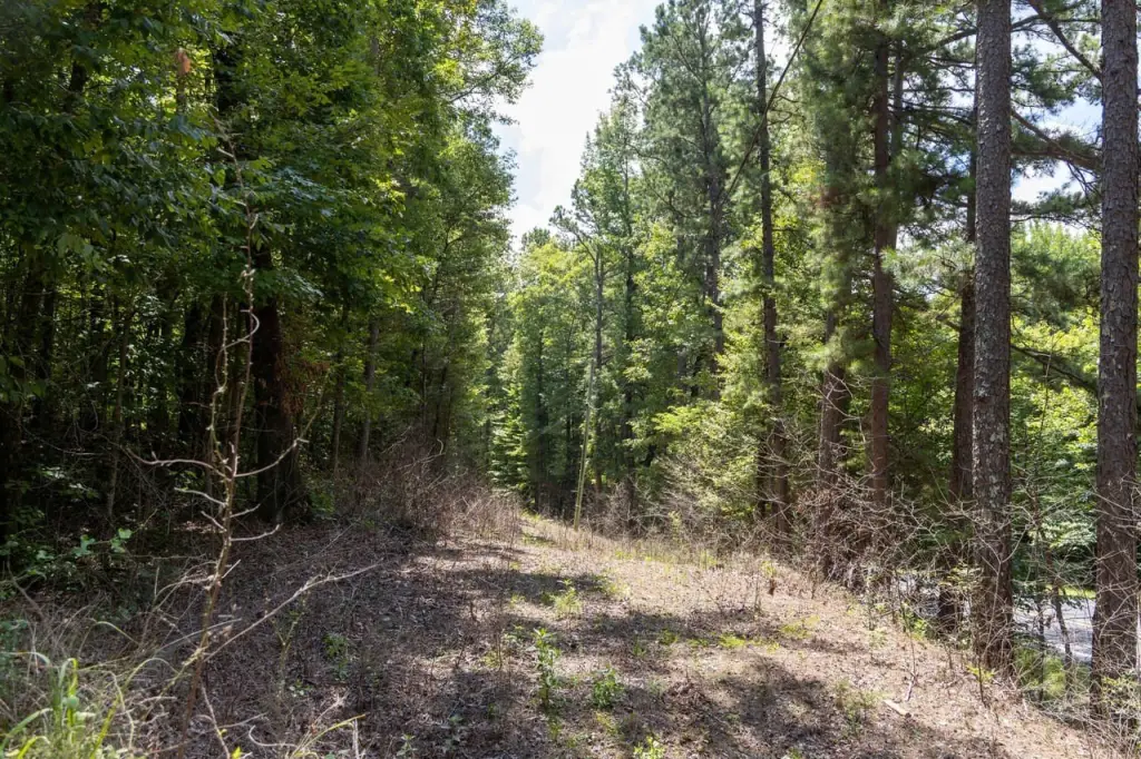 Picture 36