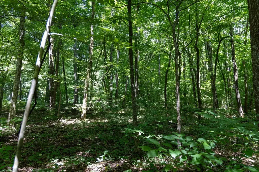 Picture 16