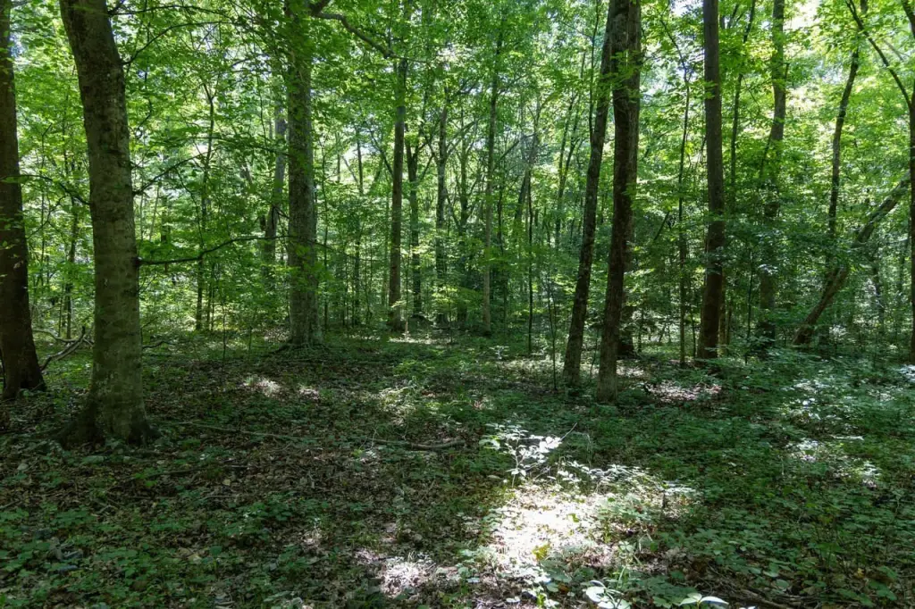 Picture 19