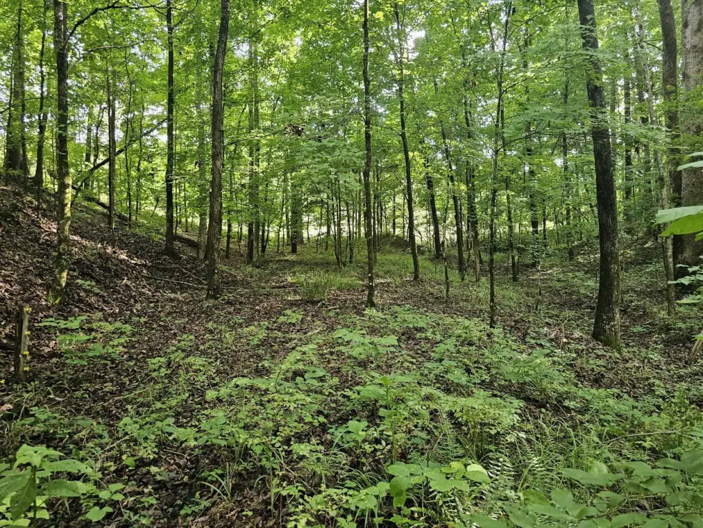 Picture 21