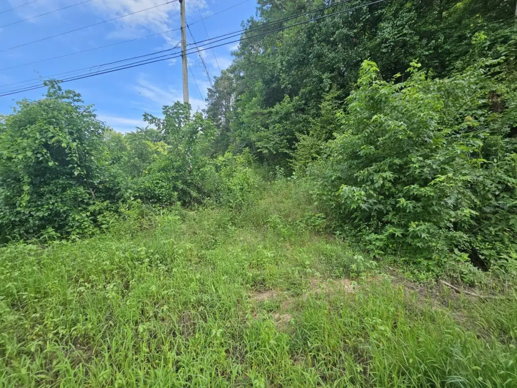 Picture 5