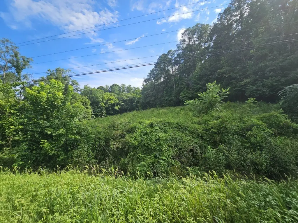 Picture 39