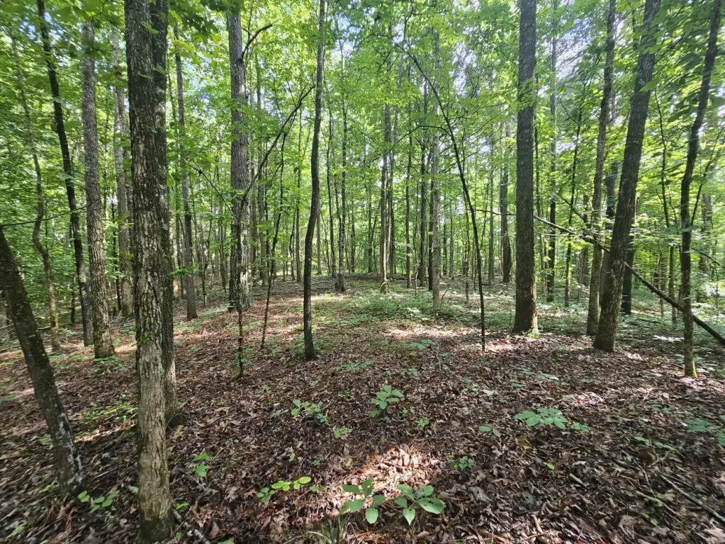 Picture 30