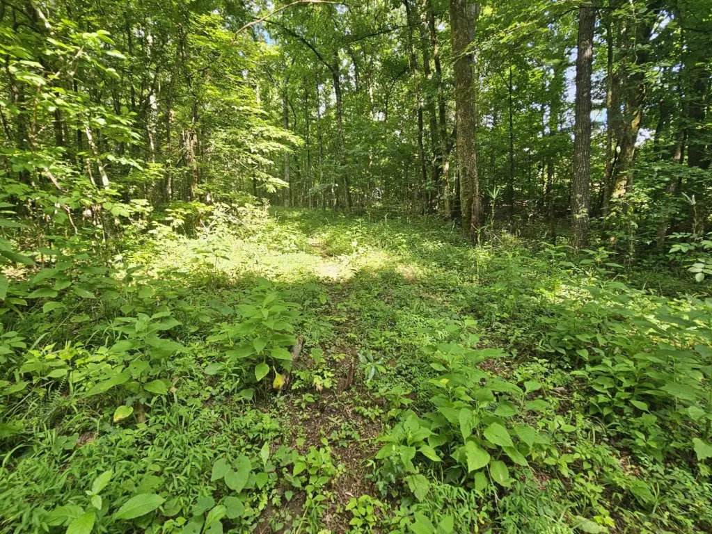 Picture 19