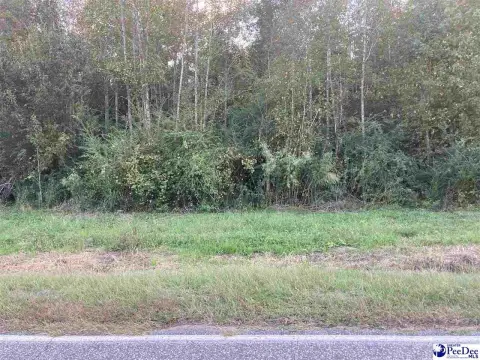 Residential Lots in Fork, SC