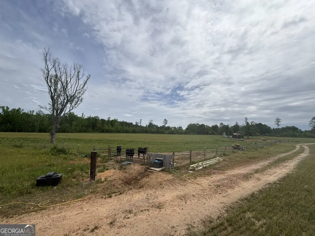 Picture 22
