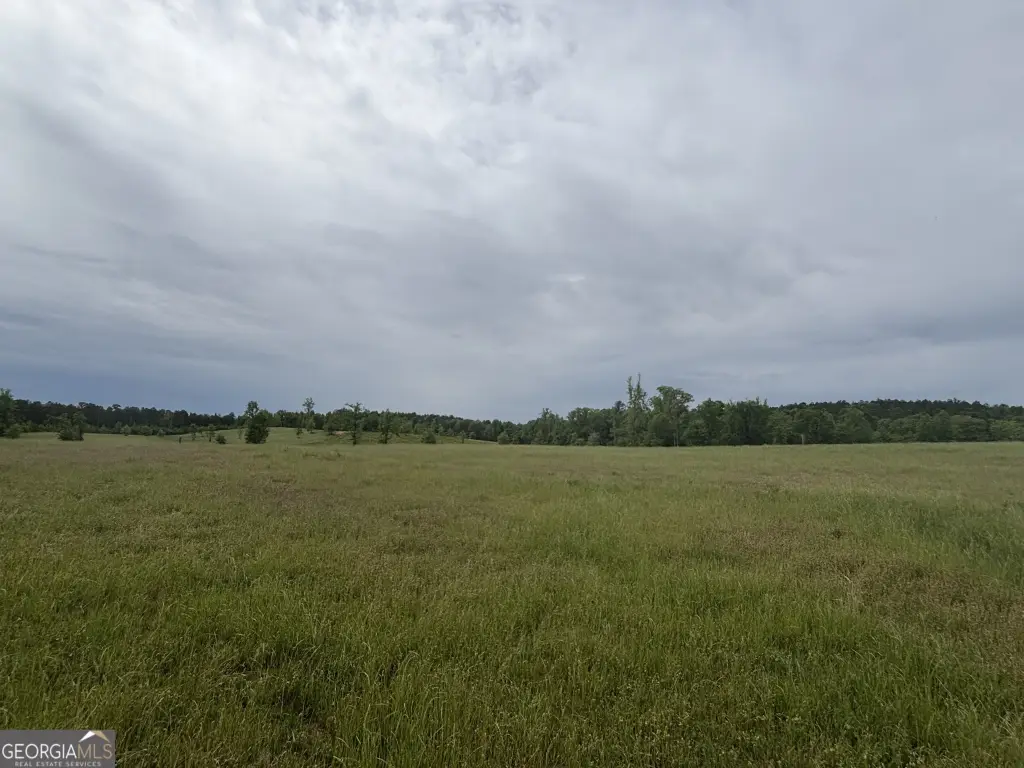 Picture 23